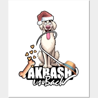 Akbash is Back Posters and Art